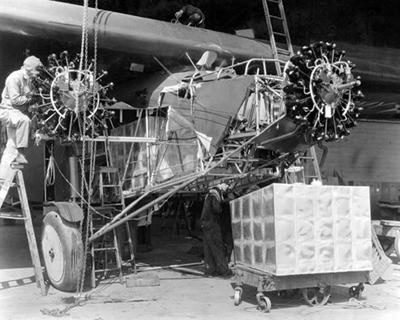 Bird of Paradise Refit E