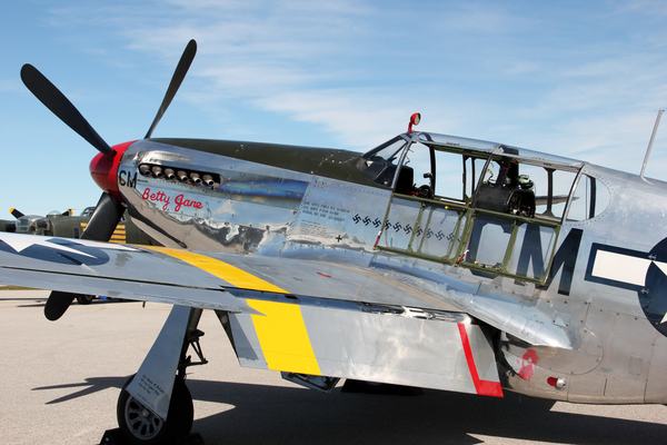 Collings P51